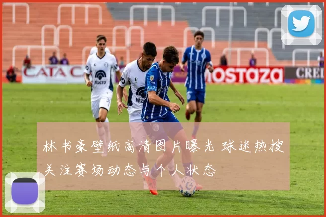 林书豪壁纸高清图片曝光 球迷热搜关注赛场动态与个人状态