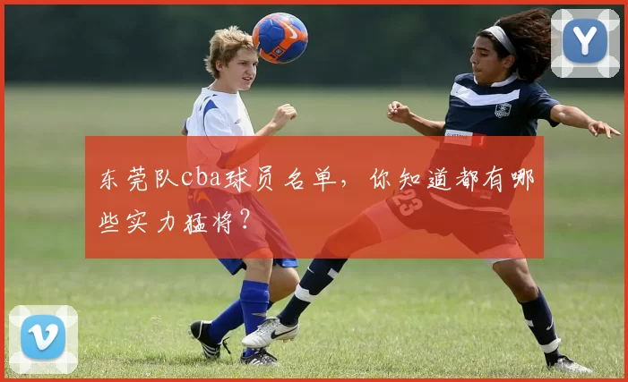 东莞队cba球员名单，你知道都有哪些实力猛将？