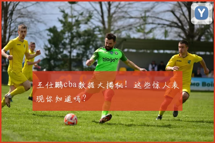 王仕鹏cba数据大揭秘！这些惊人表现你知道吗？