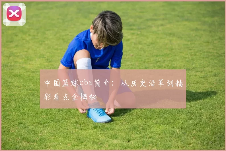 中国篮球cba简介：从历史沿革到精彩看点全揭秘
