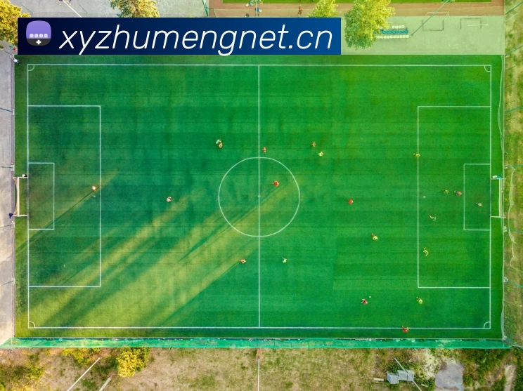 c罗皇马赛季进球数，惊人数据背后的传奇足球之路